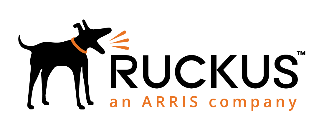 Ruckus Solution Partner logo